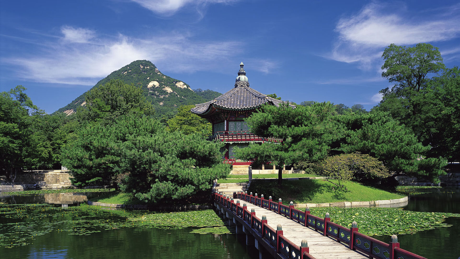 开云平台-以“篮球+创新教育”为主题的青少年创业大赛在上海举办，创意篮球赛